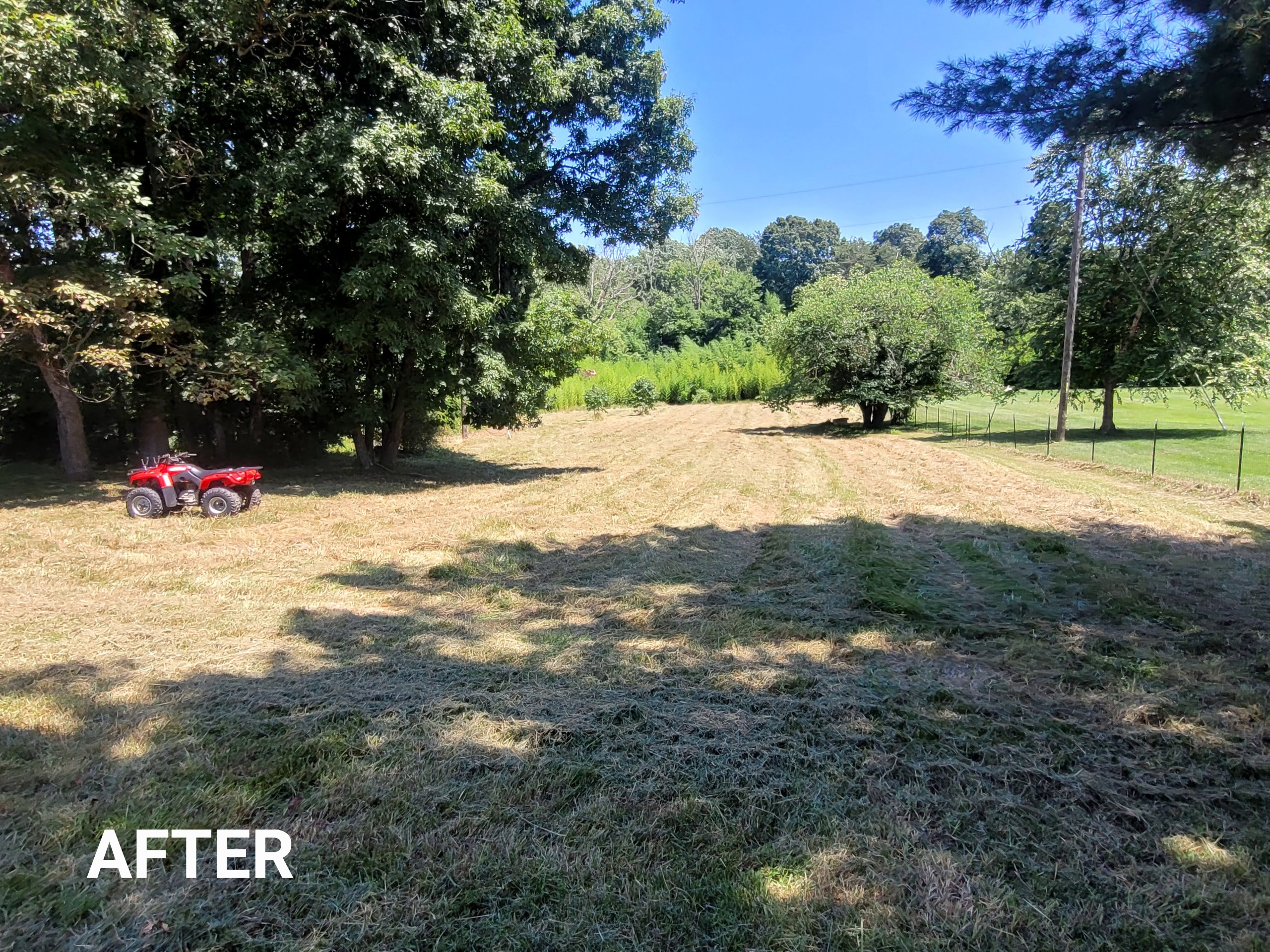 Professional seasonal cleanup service